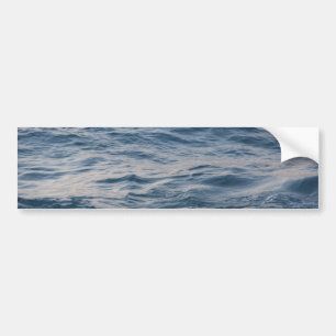 Sea water closeuds bumpersticker