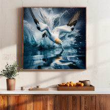 Seabird Gannet Kustfotografie Natuur Kunst