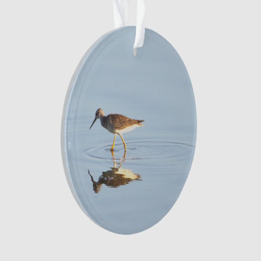Seabird Reflection Photo Ornament (voorkant)