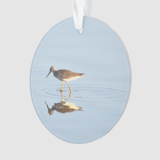 Seabird Reflection Photo Ornament (voorkant)
