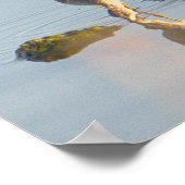 Seabird Reflection Photo Poster (Hoek)