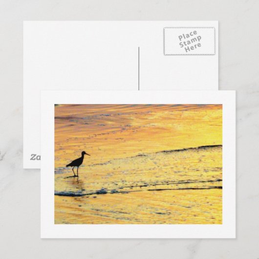 Seabird ziet de zonsopgang. briefkaart (Voorkant / Achterkant)