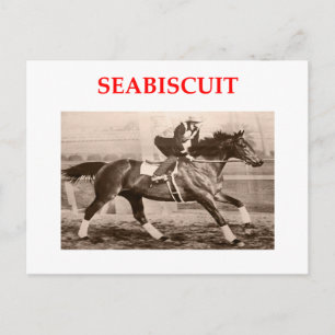 seabiscuit briefkaart