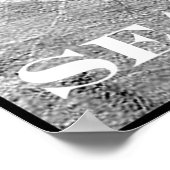 Seabiscuit is op Mount Rushmore! Poster (Hoek)