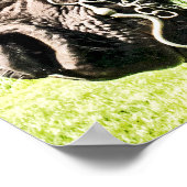 Seabiscuit Poster (Hoek)