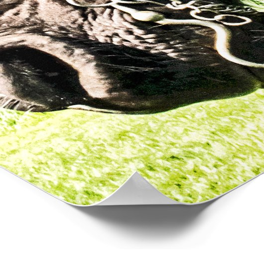 Seabiscuit Poster (Hoek)