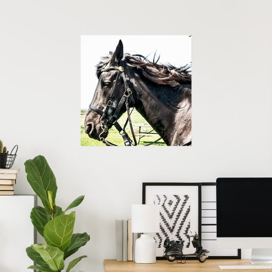 Seabiscuit Poster (Thuiskantoor)