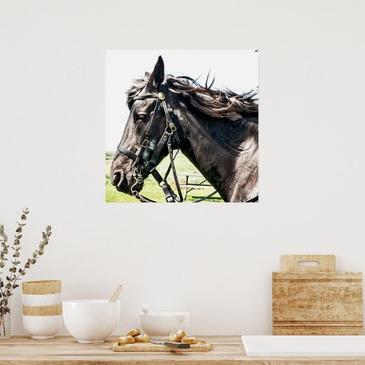 Seabiscuit Poster (Keuken)