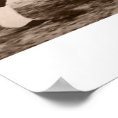 seabiscuit poster (Hoek)