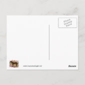 Seabiscuit - Thoroughbred Racing Legend Briefkaart (Achterkant)