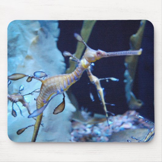 SeaDragon Muismat (Voorkant)