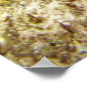 seadragon poster (Hoek)