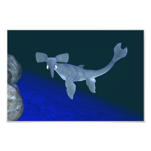 Seafant Foto Afdruk (Voorkant)