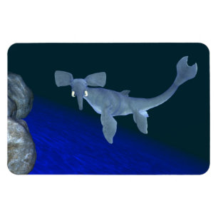 Seafant Magneet