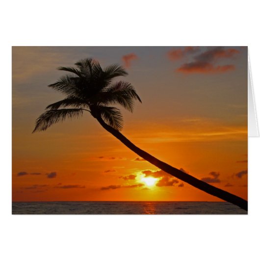 Seafoam (Voorkant Horizontaal)