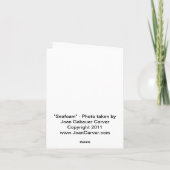 "Seafoam" - de Kaart van de Nota (Achterkant)