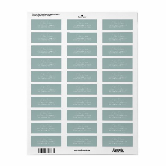 Seafoam Green Modern Minimally Scripting Address Etiket (Full Sheet)