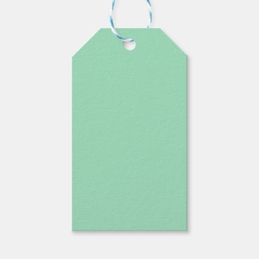 Seafoam Green Solid Color Cadeaulabel (Voorkant)