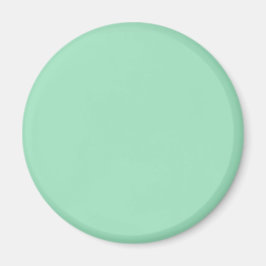 Seafoam Green Solid Color Magneet