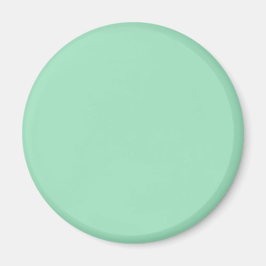 Seafoam Green Solid Color Magneet (Voorkant)