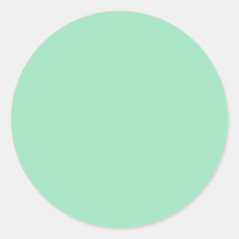Seafoam Green Solid Color Ronde Sticker