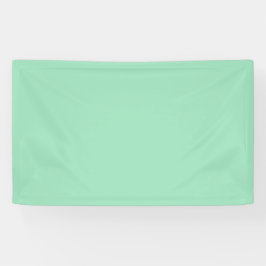 Seafoam Green Solid Color Spandoek