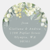 Seafoam Groene Snowberry+Eucalyptus Adres Ronde Sticker (Voorkant)