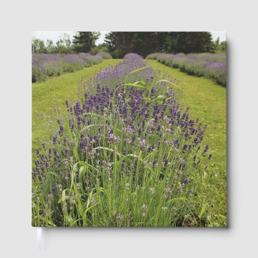 Seafoam Lavender Boerderij Gastenboek (Voorkant)