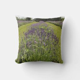 Seafoam Lavender Boerderij Kussen