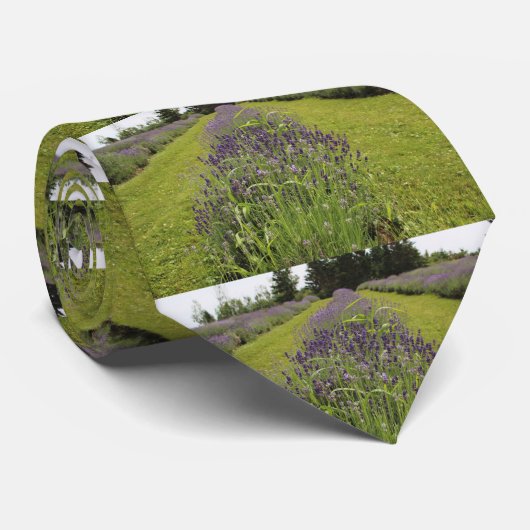 Seafoam Lavender Boerderij Stropdas (Opgerold)