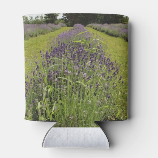 Seafoam Lavender Farm Blikjeskoeler (Achterkant)