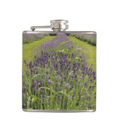 Seafoam Lavender Farm Heupfles (Voorkant)