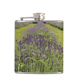 Seafoam Lavender Farm Heupfles