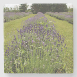 Seafoam Lavender Farm Stenen Onderzetter