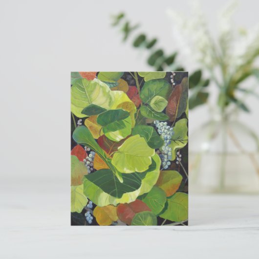 Seagraap Briefkaart (Staand voorkant)