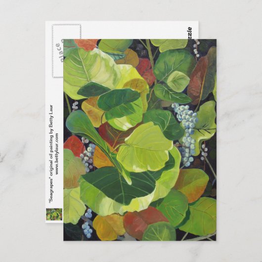 Seagraap Briefkaart (Voorkant / Achterkant)