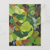 Seagraap Briefkaart (Voorkant)