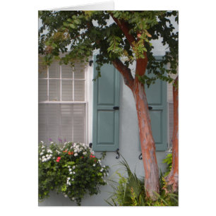 Seagreen Shutters