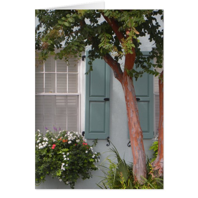 Seagreen Shutters (Voorkant)