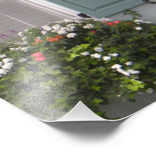 Seagreen shutters foto afdruk (Hoek)