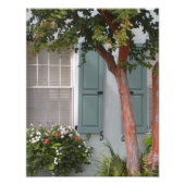 Seagreen shutters foto afdruk (Voorkant)