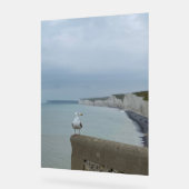 Seagul en Seven Sisters, Verenigd Koninkrijk Acryl Bord (Hoek)