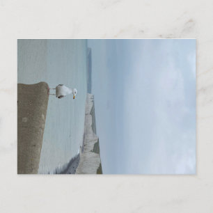 Seagul en witte kliffen van Seven Sisters, Verenig Briefkaart