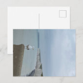 Seagul en witte kliffen van Seven Sisters, Verenig Briefkaart (Voorkant / Achterkant)
