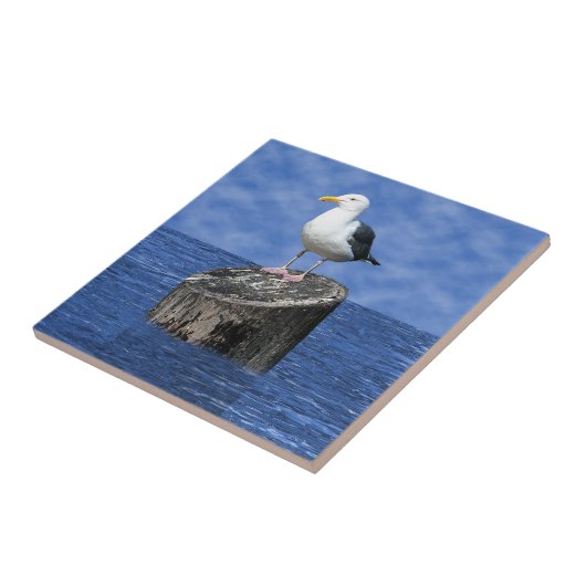 SEAGUL TEGELTJE (Zijkant)