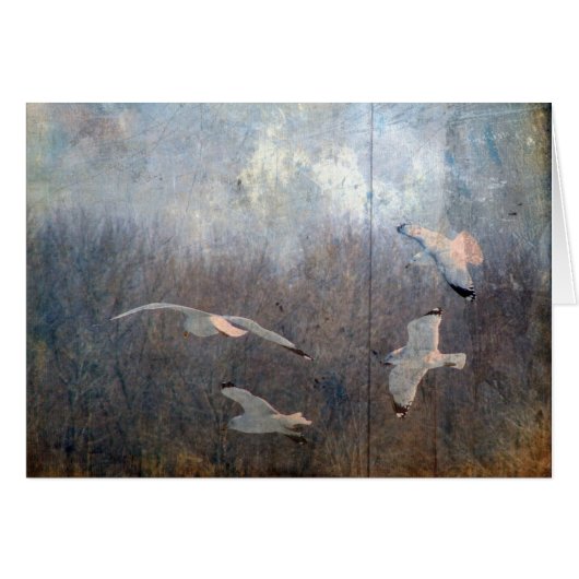 Seaguleren (Voorkant Horizontaal)