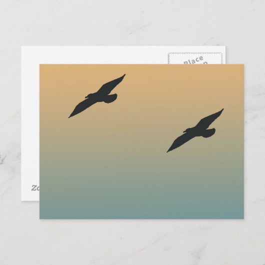 Seaguleren Briefkaart (Voorkant / Achterkant)