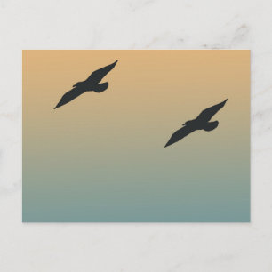 Seaguleren Briefkaart