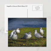 Seaguleren Briefkaart (Voorkant / Achterkant)