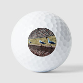 Seaguleren Golfballen